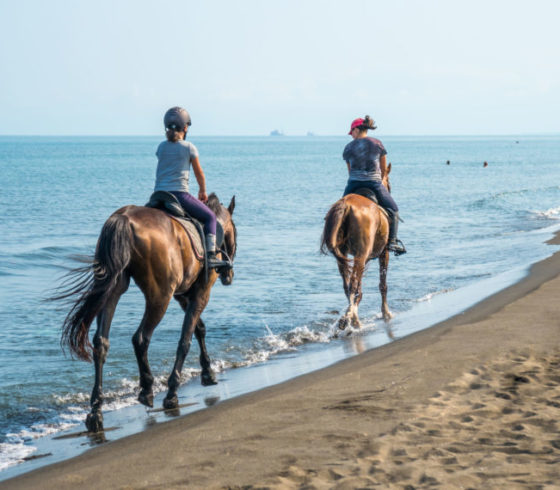 Randonnée à cheval